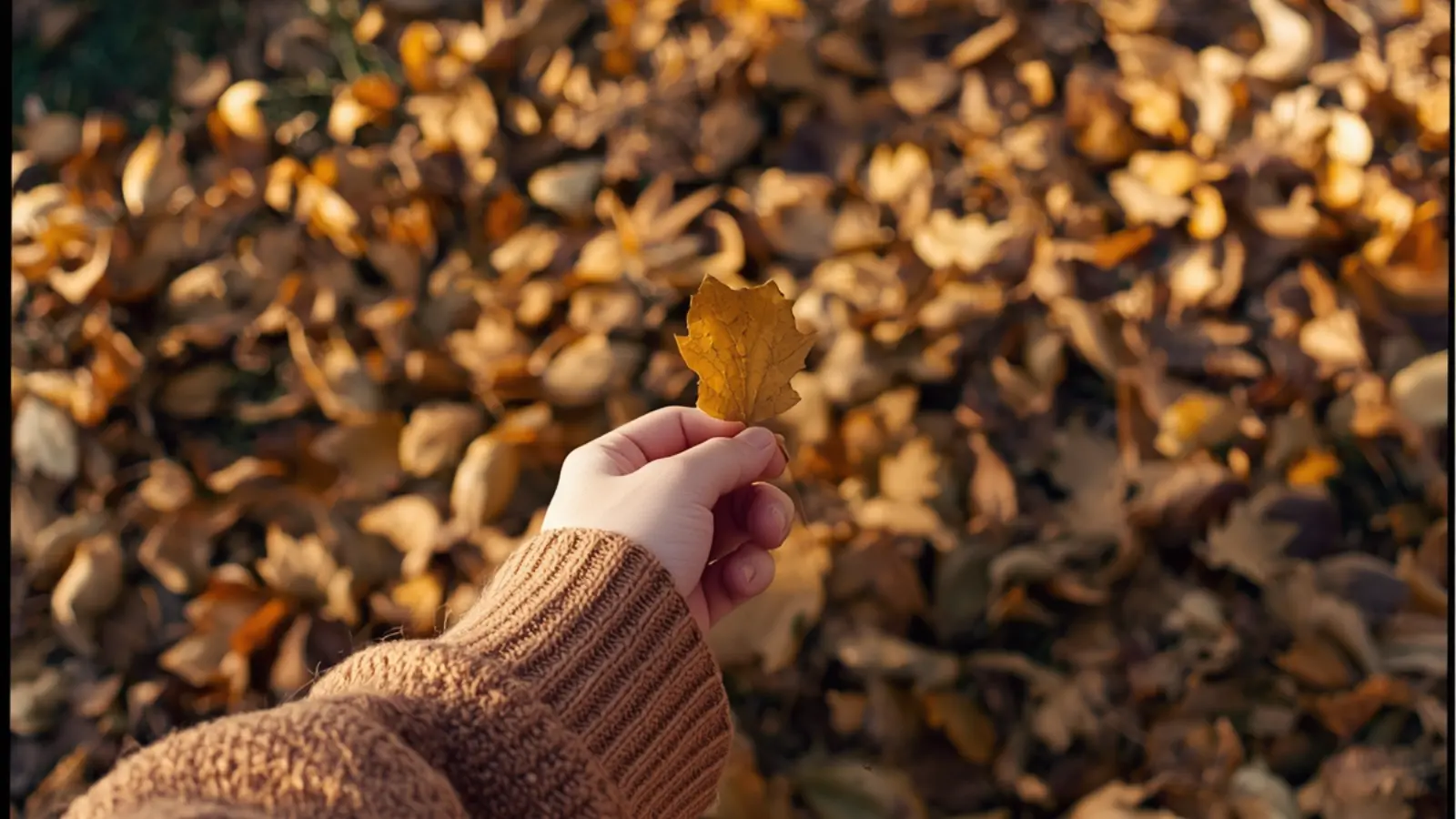 october photo dump captions
