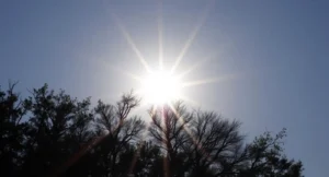 sun captions
